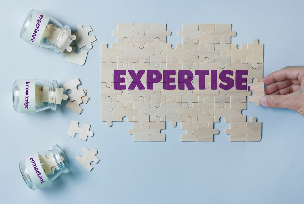 EXPERTISE BUILDING PUZZLE